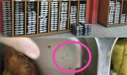 Dugaan MBG Berulat di SDN Bernas Binsus, Petugas Akui Tak Pernah Cek Makanan Sebelum Dibagikan